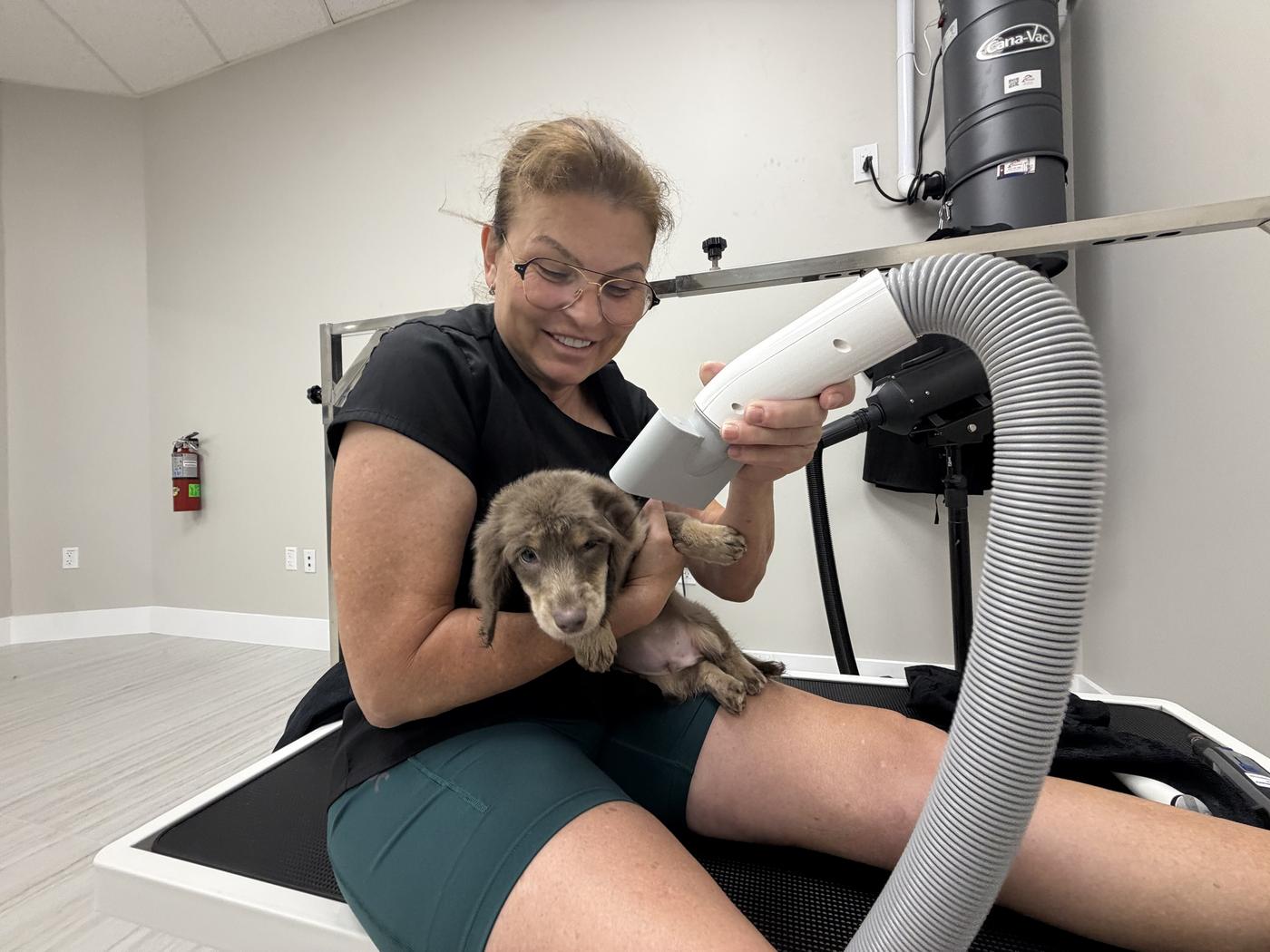 Carla Rodrigues drying a puppy at ZenSpawt in Juno Beach