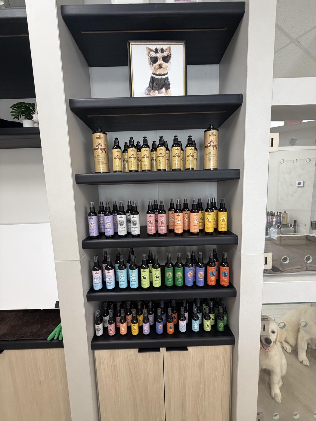 The DOWG Essentials product wall at ZenSpawt